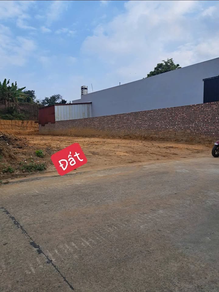 Đất thổ cư 103m² tại TDP Núi, phường Tân An - Giá chỉ 700 triệu, cắt lỗ sâu!