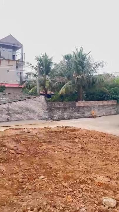 Nhà cấp 4 TDP Nguyễn, Tân Yên 130m² - Sẵn sàng vào ở ngay!