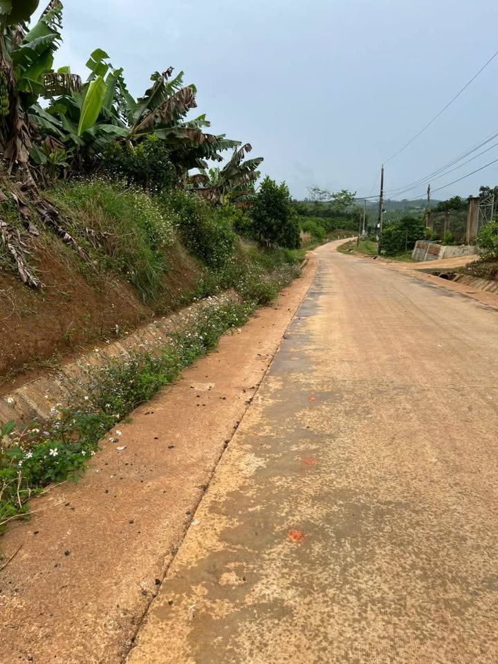 Đất nền Lộc Đức Bảo Lâm 101m² giá 1.05 tỷ - Cơ hội đầu tư hấp dẫn!