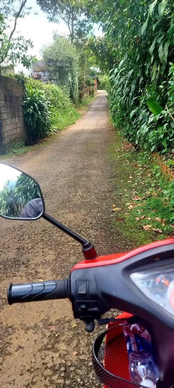 Nhà mặt tiền hẻm Bùi Thị Xuân, Bảo Lộc 204m² giá 3.1 tỷ - Đầu tư sinh lời!