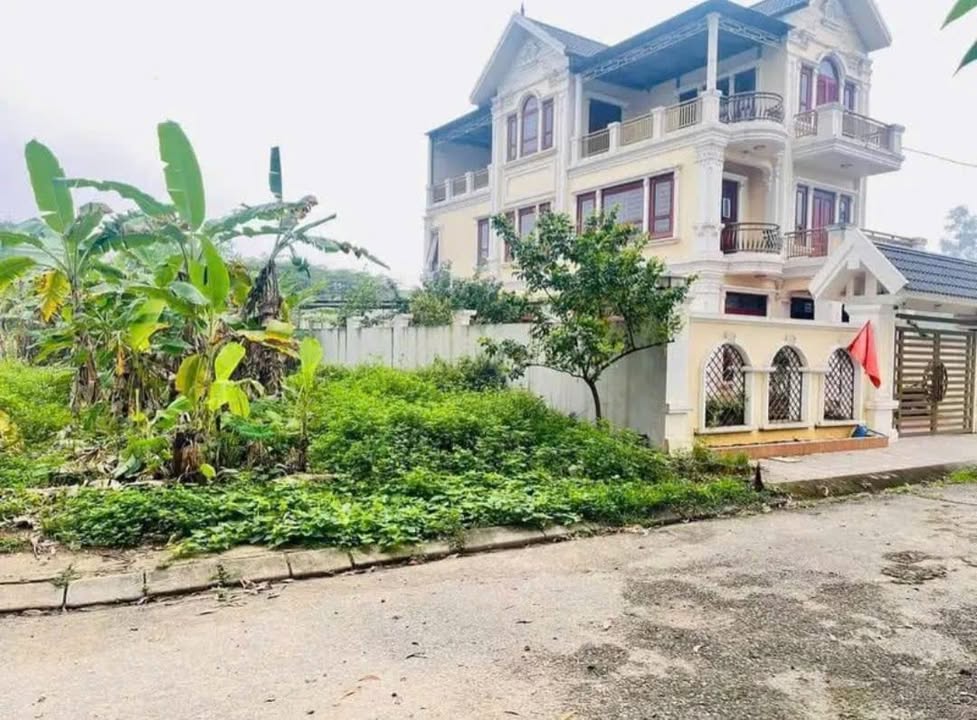 Đất thổ cư khu Z115 phường Quyết Thắng 100m² giá 2 tỷ - Cơ hội đầu tư tuyệt vời!