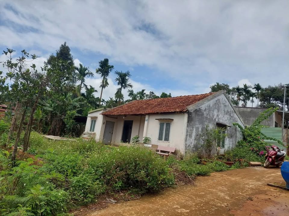 Đất thổ cư tại thôn 7a Eatieu, Xã Ea Tiêu, 322m² chỉ 1.5 tỷ - Cơ hội đầu tư tuyệt vời!