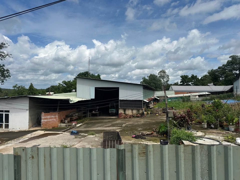 Kho xưởng 918m² đường Trần Hưng Đạo, Bình Phước - Đầu tư sinh lời ngay!