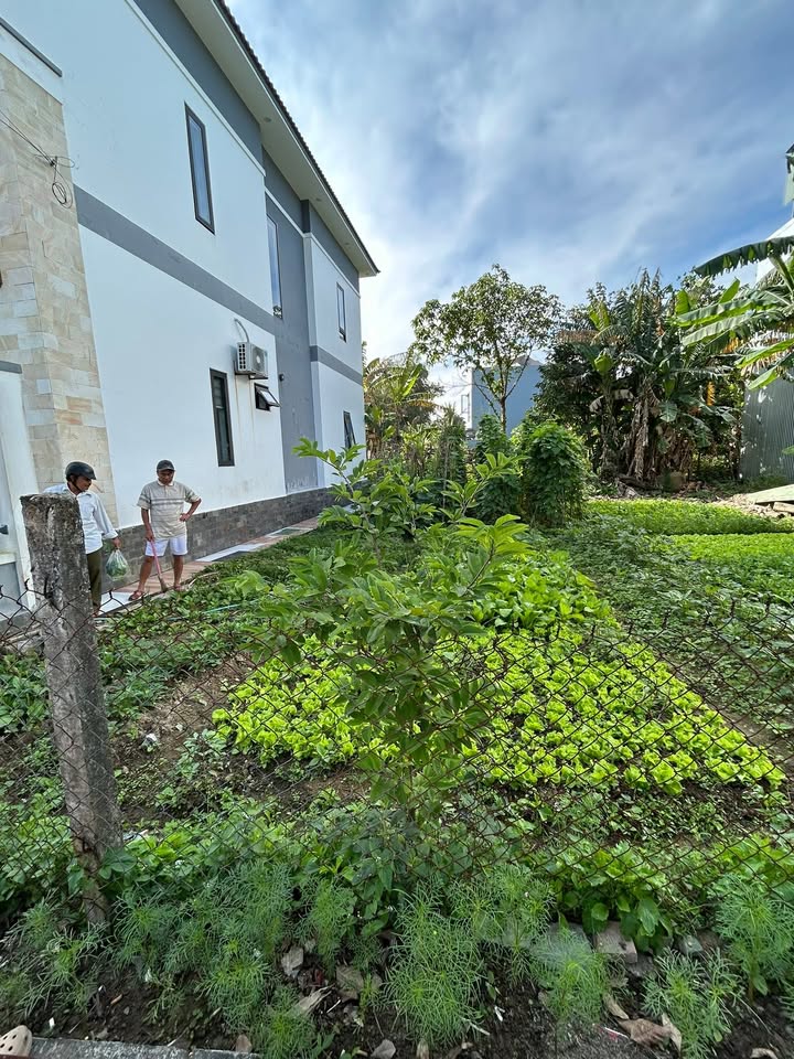 Đất An Cư Thôn Quang Châu, Cẩm Lệ 96m² giá 2 tỷ - Mặt tiền 5,5m ô tô tránh thoải mái!