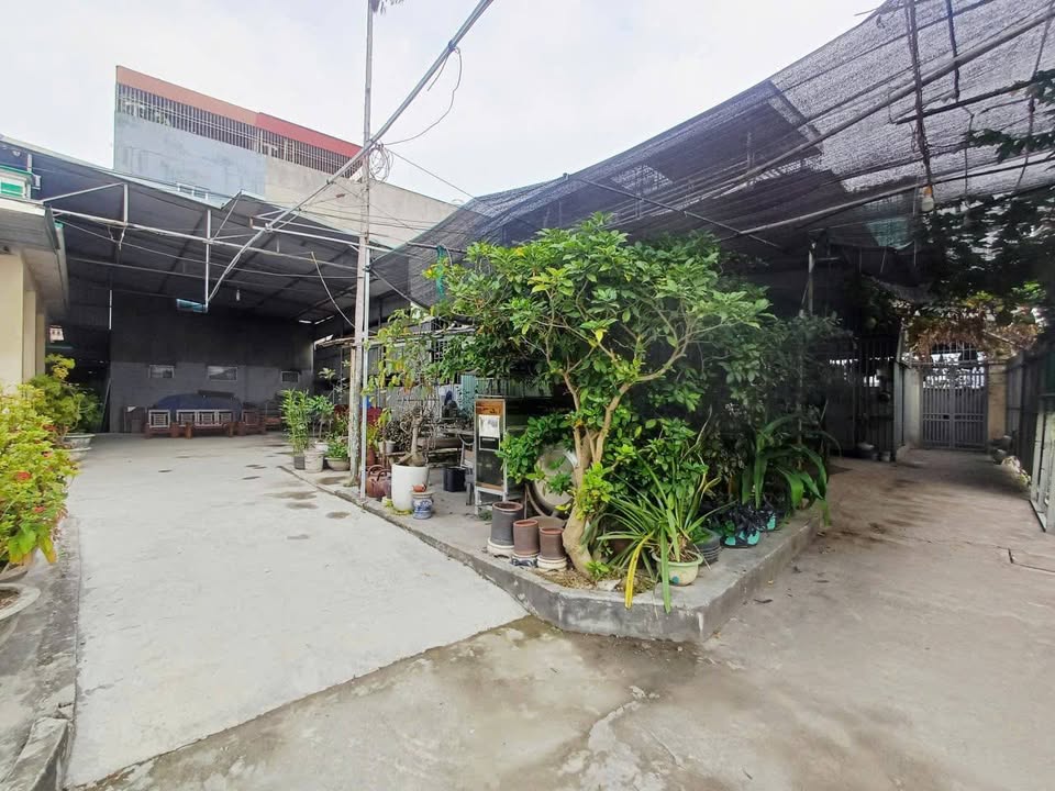 Lô đất Bùi Thị Tự Nhiên, Hải An, 68m² giá 2.244 tỷ - Đầu tư sinh lời ngay