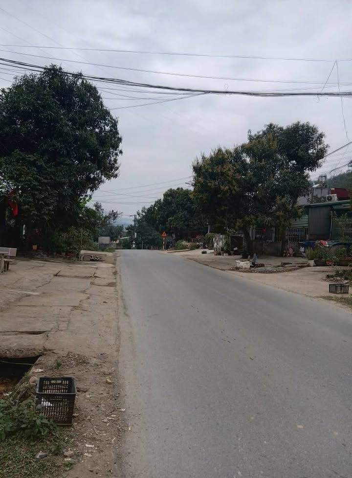 Đất nền Duyên Hải 100m² giá 1.69 tỷ - Cơ hội đầu tư hấp dẫn!