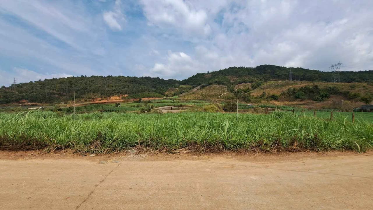 Bán gấp đất 3 sào KDC Bồng Lai, Đức Trọng, 7.5 tỷ - Đầu tư sinh lời ngay!