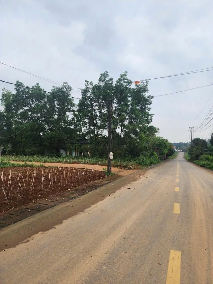 FrontHouse mặt tiền Tôn Đức Thắng, Hồ Xá 174m² giá chỉ 800 triệu - Cơ hội đầu tư hấp dẫn!