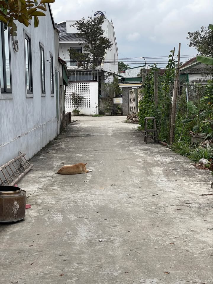 Đất nền Hưng Nguyên 67.5m² giá 1.3 tỷ - Vị trí đắc địa gần VSIP!