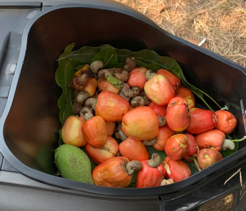 Nhà cũ tại Bàu Năng, Dương Minh Châu, 160m² giá 800 triệu - Chốt nhanh ngay hôm nay!