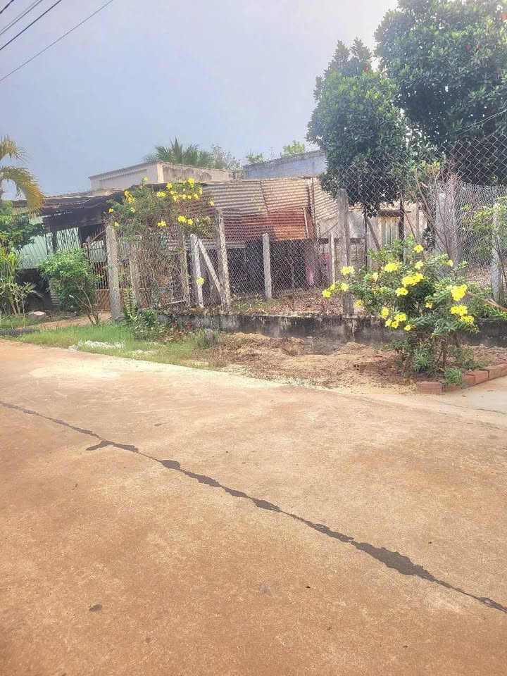 Đất thổ cư 228m² xã Tân Phú, huyện Tân Châu - Giá chỉ 520 triệu!