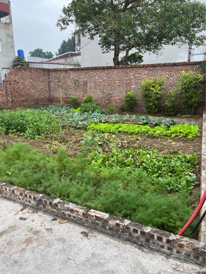 Đất nền Đức Hiệp, Xuân Lâm, Bắc Ninh 82m² giá 3.5 tỷ - Cơ hội đầu tư không thể bỏ lỡ!