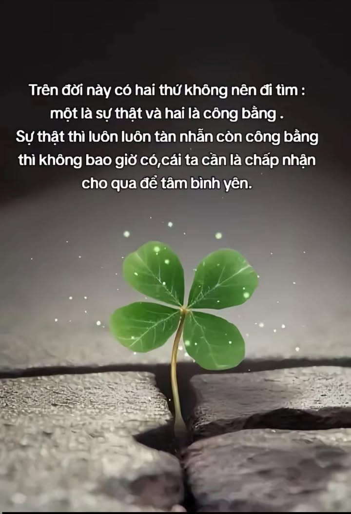 Nhà cấp 4 hẻm cạn Tây Sơn 52m² giá 789 triệu - Thương lượng ngay!