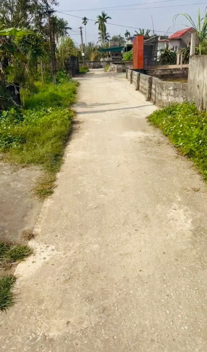 Đất thổ cư 200m² tại Minh Nghĩa, Nông Cống - Tiềm năng phát triển lớn!