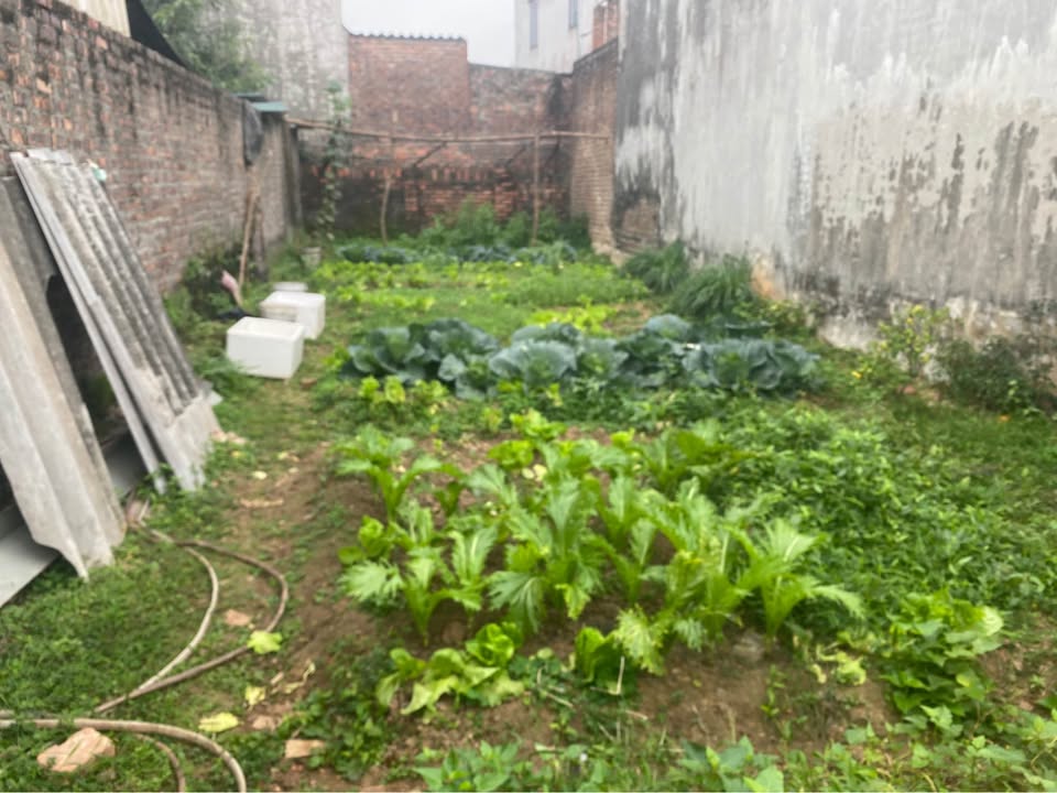 Đất nền Xã Quang Tiến 91m² giá 2.15 tỷ - Sổ hồng chính chủ, thương lượng tốt!