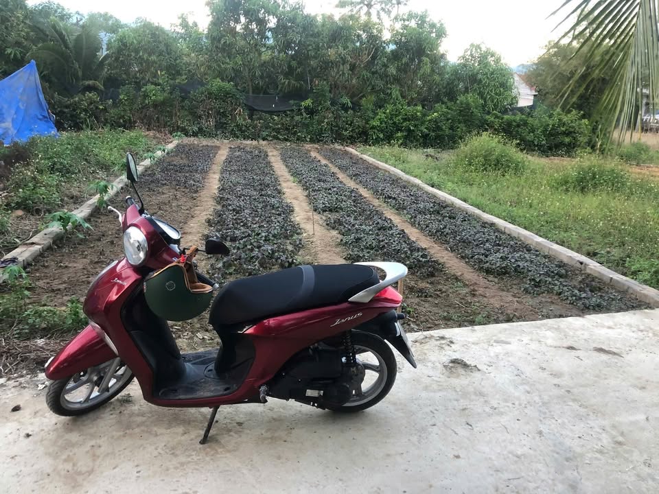 Đất thổ cư Diên Sơn 100.6m² giá 799 triệu - Hướng Nam mát mẻ