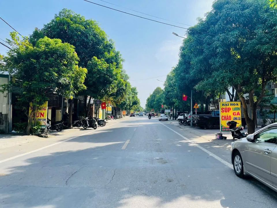 Nhà Kinh Doanh Mặt Đường Phượng Hoàng Trung Đô 100m² - Vừa Ở Vừa Kinh Doanh!