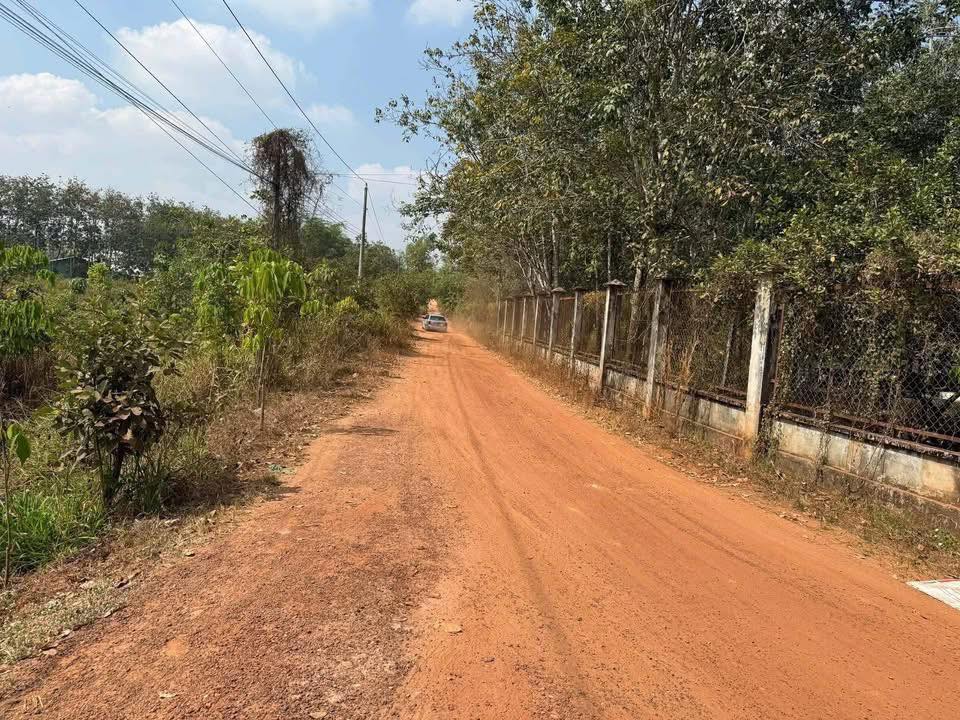 Đất nông nghiệp 12.000m² tại Xã Long Hòa, Huyện Dầu Tiếng - Cơ hội đầu tư vàng!