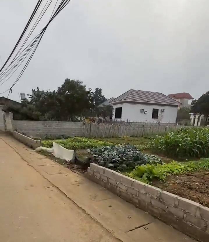 Đất nền lô góc 600m² tại Yên Bài, Ba Vì - Cơ hội đầu tư tuyệt vời chỉ 6 tỷ!