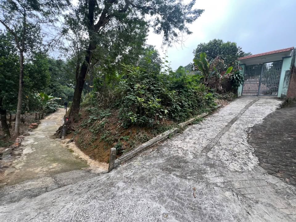 Đất lô góc Tiên Phương, Chương Mỹ 265m² giá 2.65 tỷ - Diện tích lý tưởng, view thoáng mát!