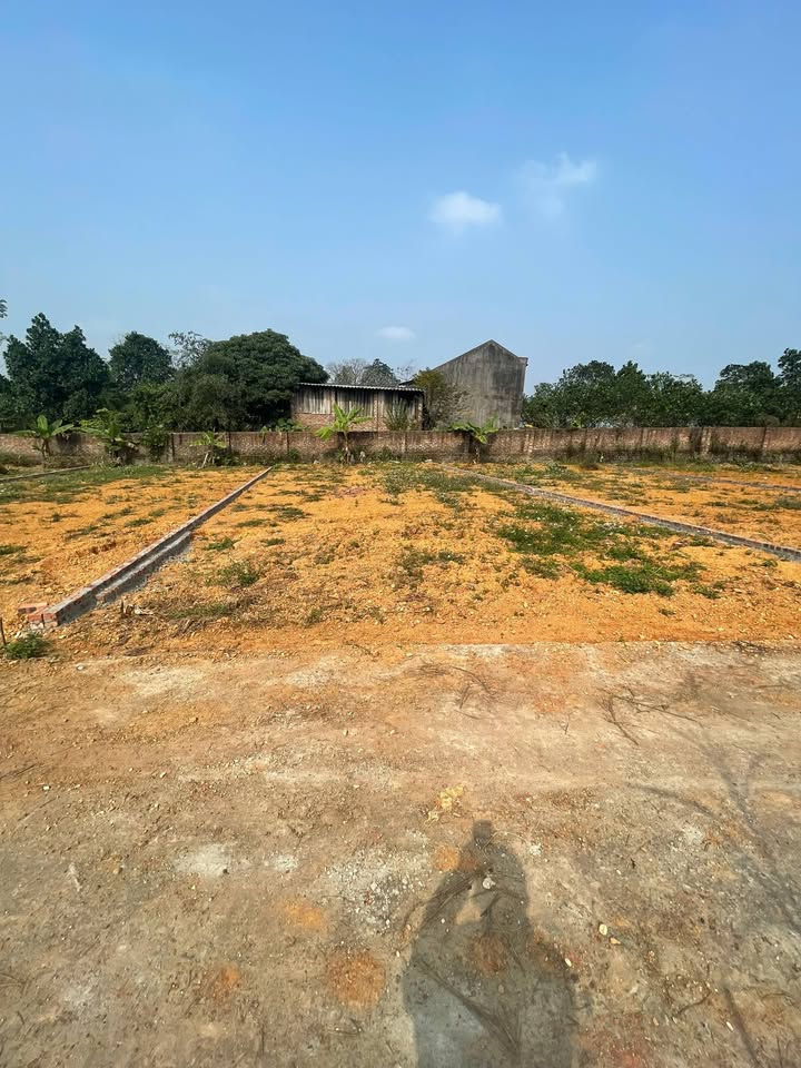 Đất thổ cư 150m² mặt tiền 8m tại xóm Chùa, Phổ Yên chỉ 600 triệu - Cơ hội đầu tư tuyệt vời!