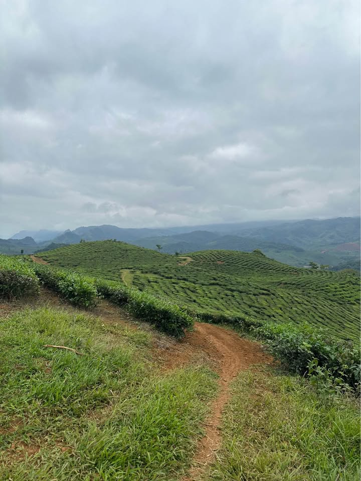 Đất nghỉ dưỡng Chiềng Khoa Sơn La 3000m² giá 1 tỷ - Đầu tư sinh lời nhanh!