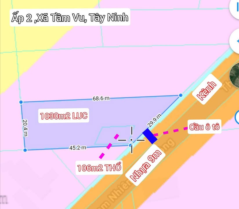 Nhà vườn 1136m² tại Xã Tầm Vu, Tây Ninh - Chính chủ bán gấp!