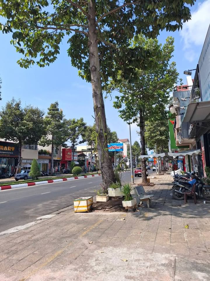 Nhà cho thuê mặt tiền đường CMT8, Phường Bà Rịa, 210m² - Kinh doanh sầm uất!