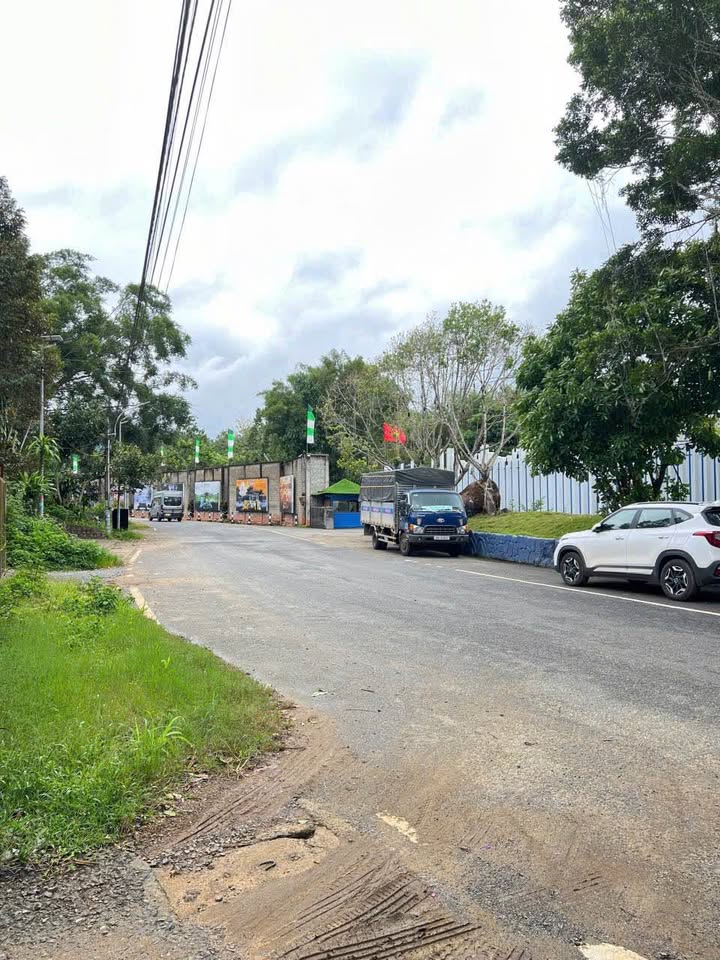 Đất thổ cư Lộc Nga, Bảo Lộc 100m² giá 1 tỷ - Đầu tư tiềm năng!