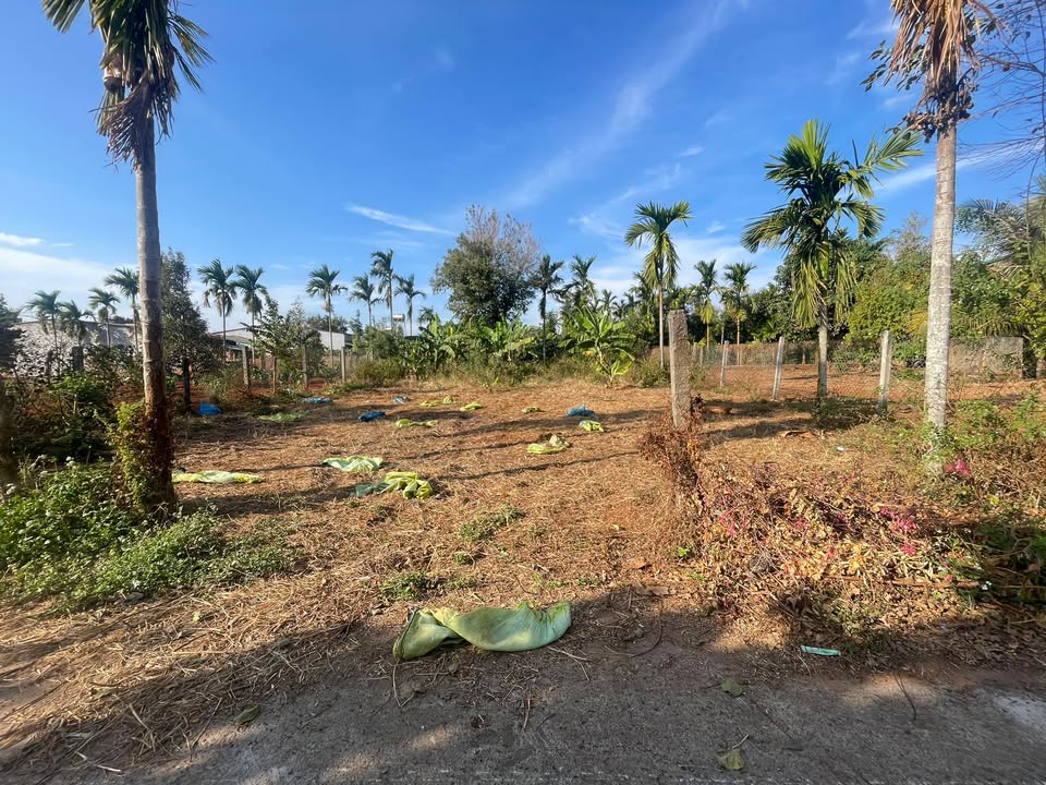 Đất nền Thị trấn Buôn Trấp 10.27m² giá 500-600 triệu - Cơ hội đầu tư hấp dẫn!