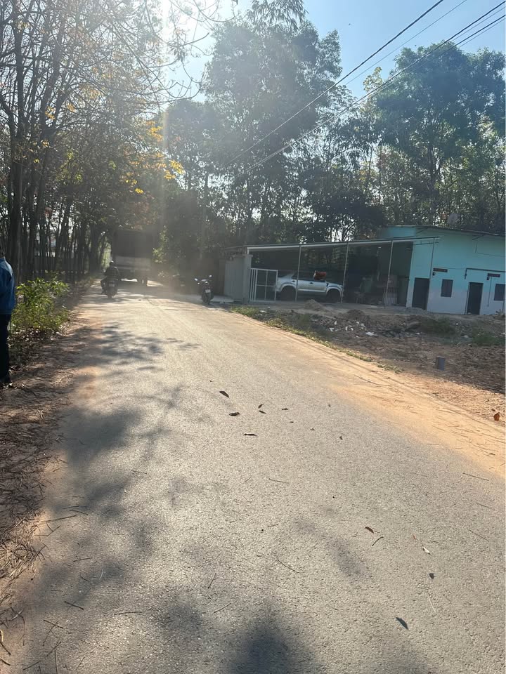 Đất thổ cư Hòa Lợi 250m² giá 1.6 tỷ - Vị trí thuận lợi gần KCN!