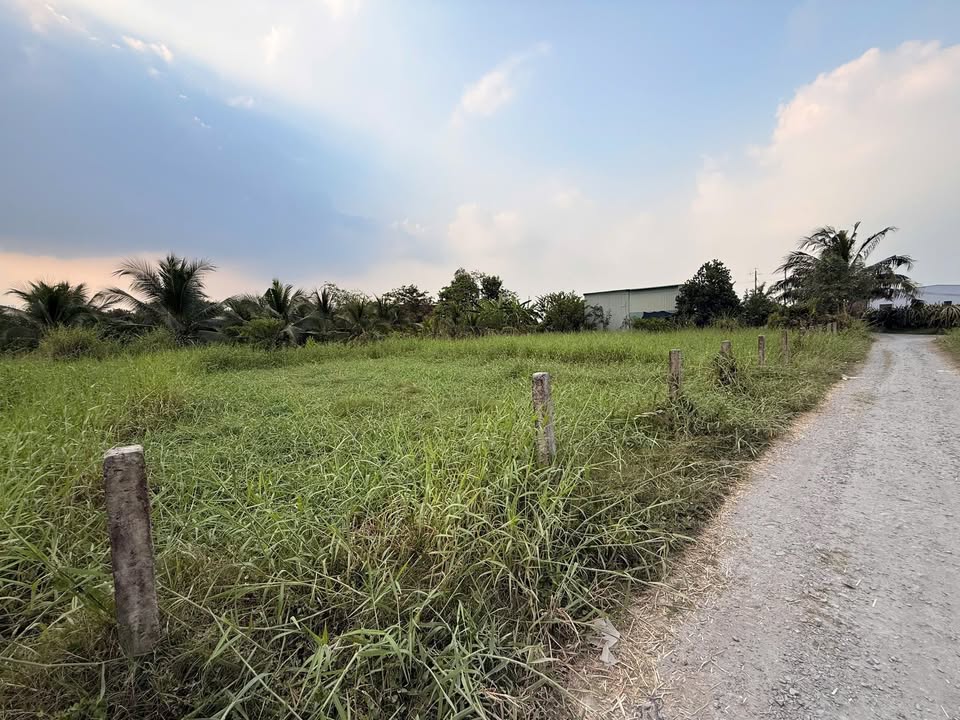 Đất thổ cư Phú Ngãi Trị, Châu Thành, Long An 120m² - Giá đầu tư chỉ 350 triệu!