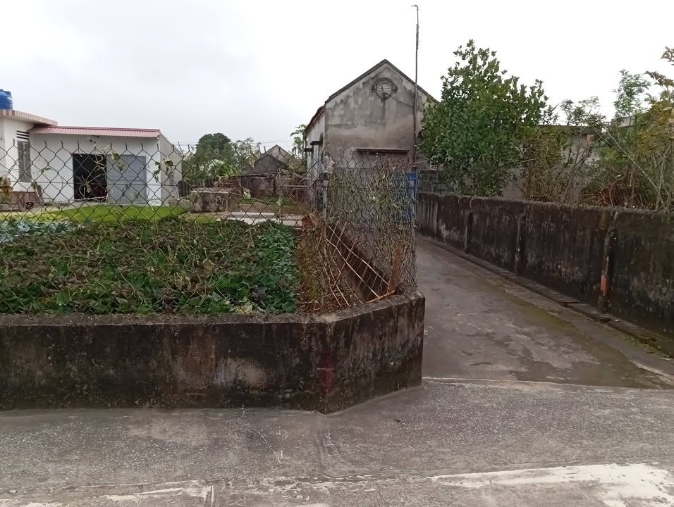 Đất nền Giao Châu, Giao Thủy, Nam Định 137m² - Đầu tư sinh lời ngay sát KCN Viship!