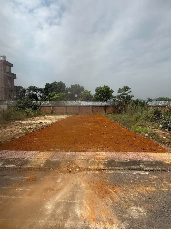 Đất thổ cư thôn Phú Cát 156m² giá thỏa thuận - Sổ đỏ chính chủ!