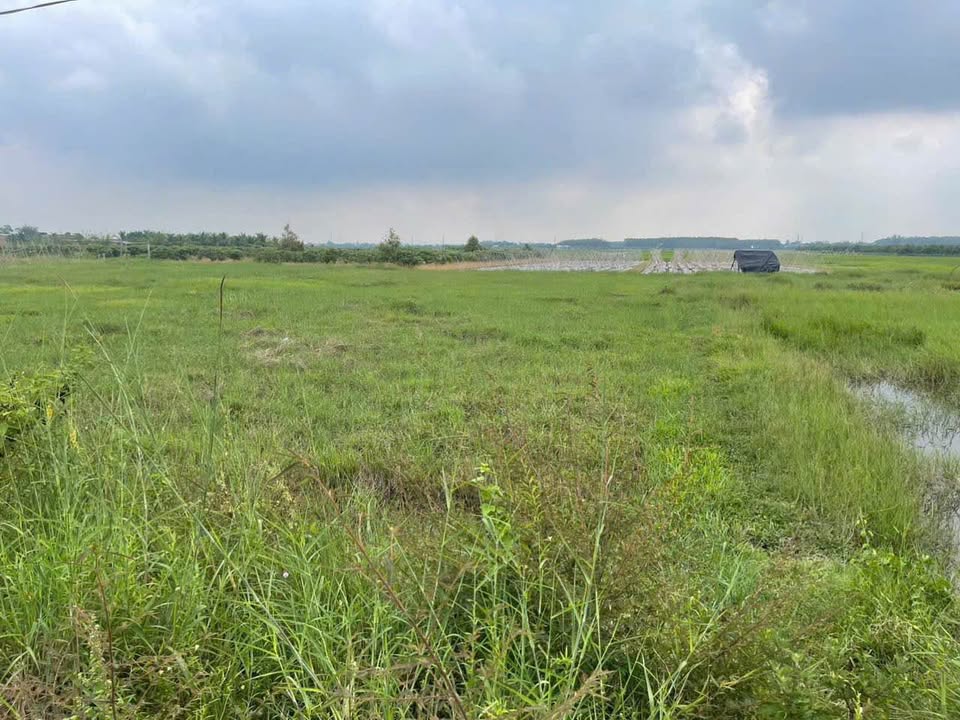 Đất đẹp Ấp Phước An, Trảng Bàng 1054m² giá 1.05 tỷ - Chủ cần bán gấp trước Tết!