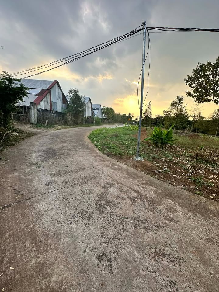 Đất nền liền kề đường Lê A, Bình Lộc, 250m² giá 690 triệu - Cơ hội đầu tư hấp dẫn!