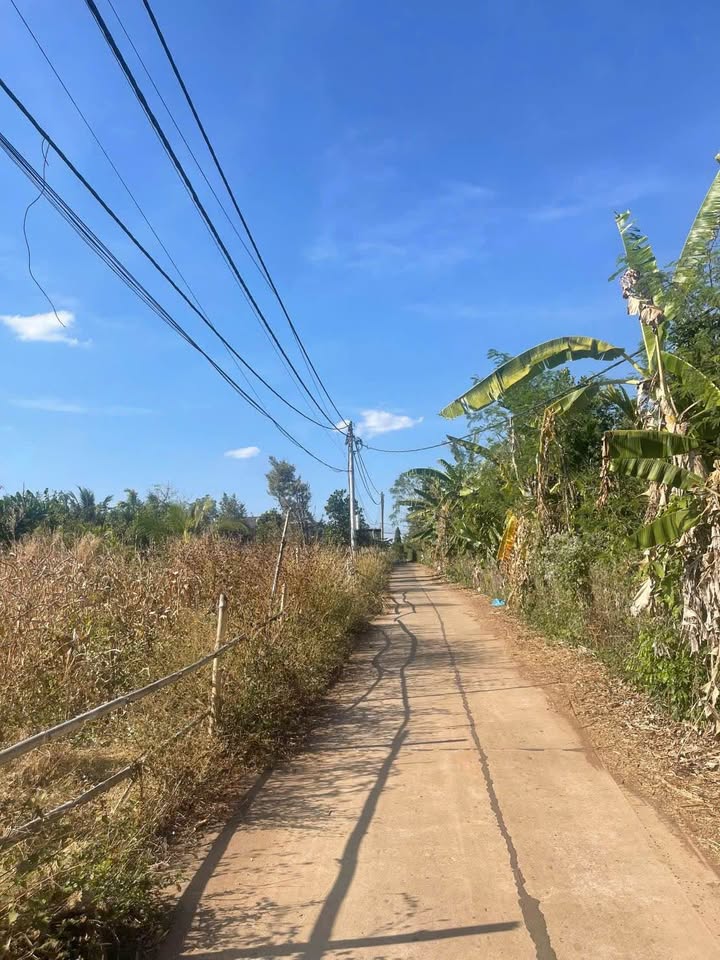 Đất nền đường Quốc lộ 14, xã Hòa Phú 145m² chỉ 800 triệu - Đầu tư sinh lời ngay!