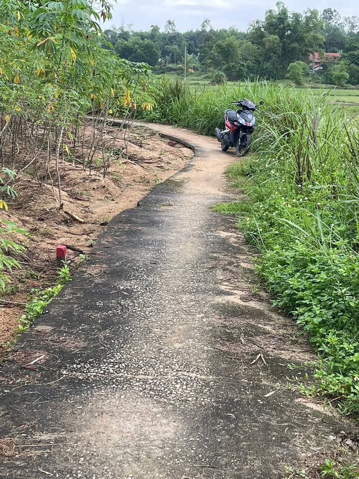 Đất nền 175m² tại Thị Trấn Ái Nghĩa, Đại Lộc chỉ từ 200 triệu - Cơ hội đầu tư hấp dẫn!