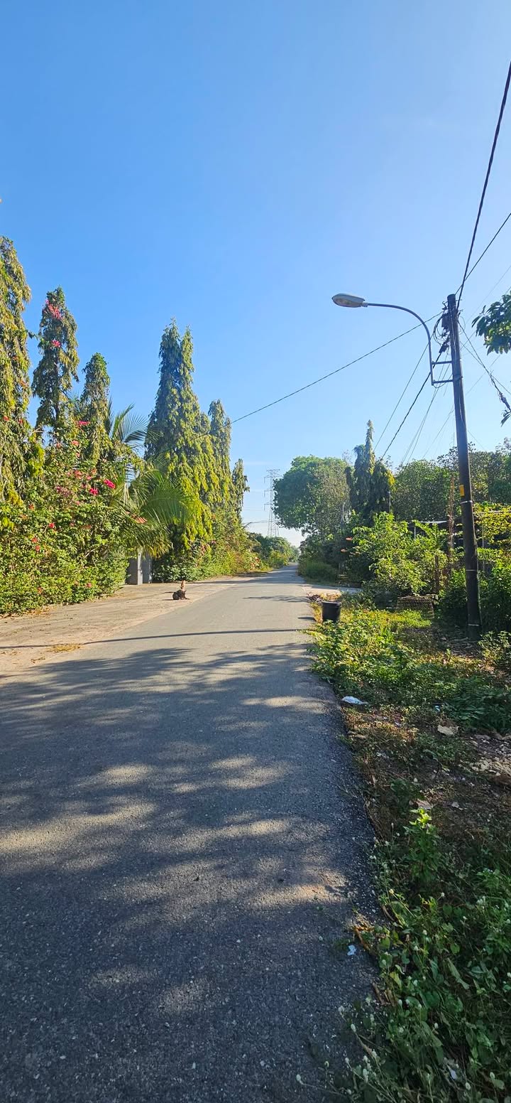 Đất nền xã Phạm Văn Cội, huyện Củ Chi 510m² giá 1.9 tỷ - Khu dân cư cao ráo, đẹp mắt!