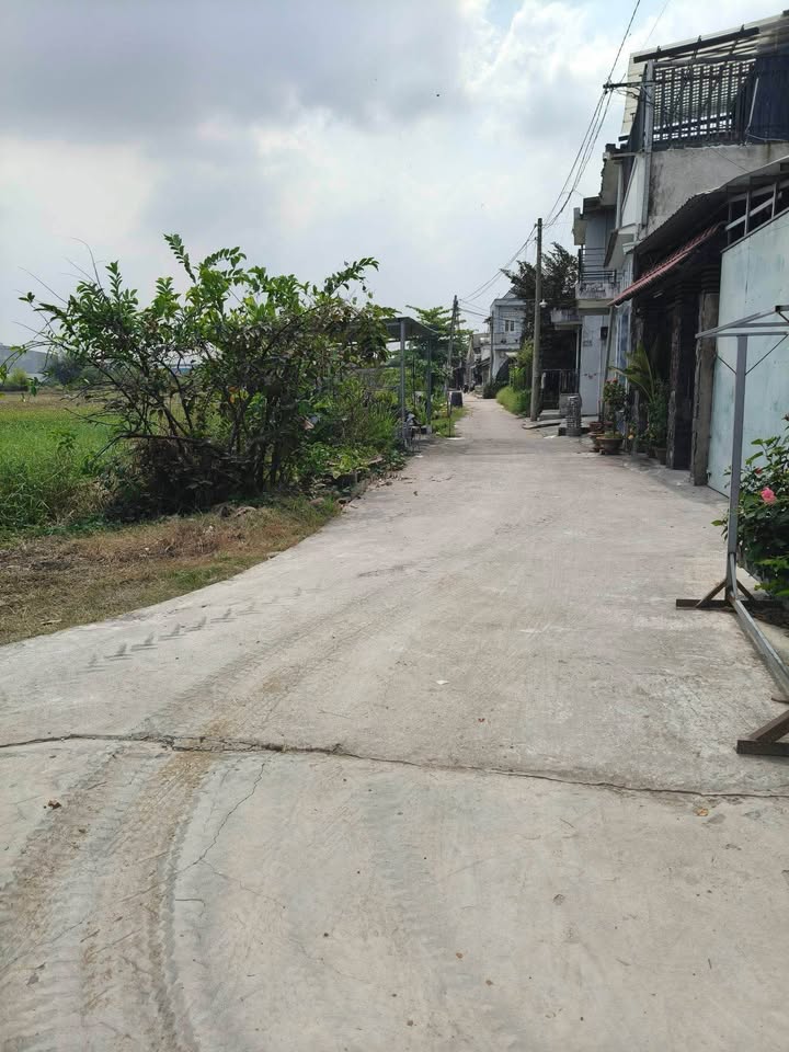 Đất thổ cư 210m² tại Mỹ Hạnh Nam, Đức Hòa - Sổ hồng riêng, giá chỉ 1.45 tỷ!