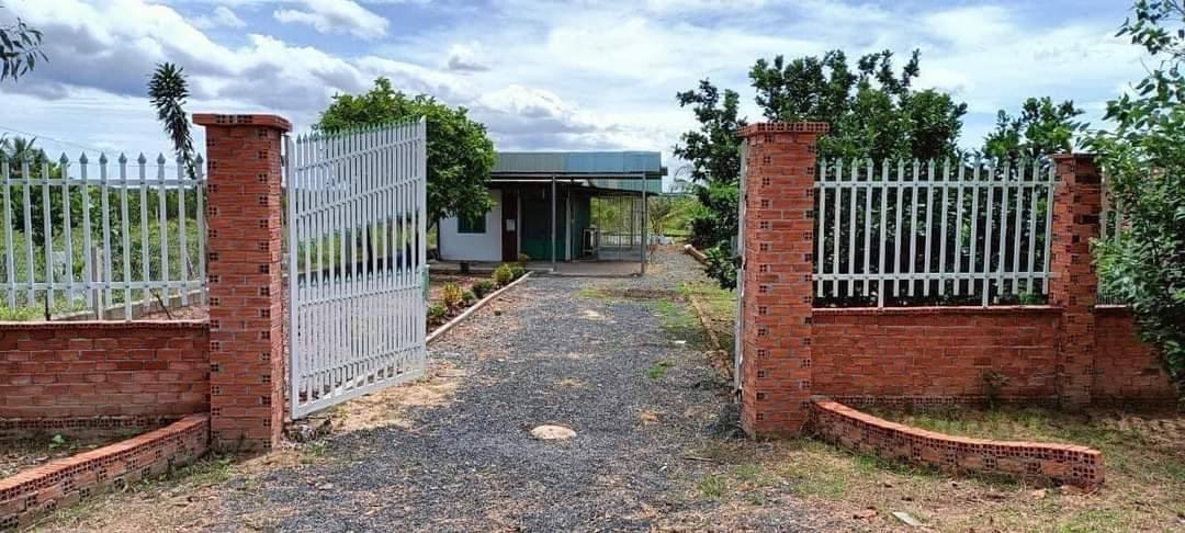 Đất vườn bưởi 1600m² tại Quận 7 - Giá hấp dẫn 470 triệu!