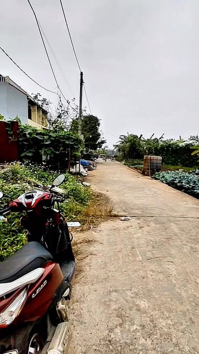 Đất dịch vụ Lại Yên, Hoài Đức 75m² giá chỉ 9 tỷ - Tiềm năng đầu tư lớn!