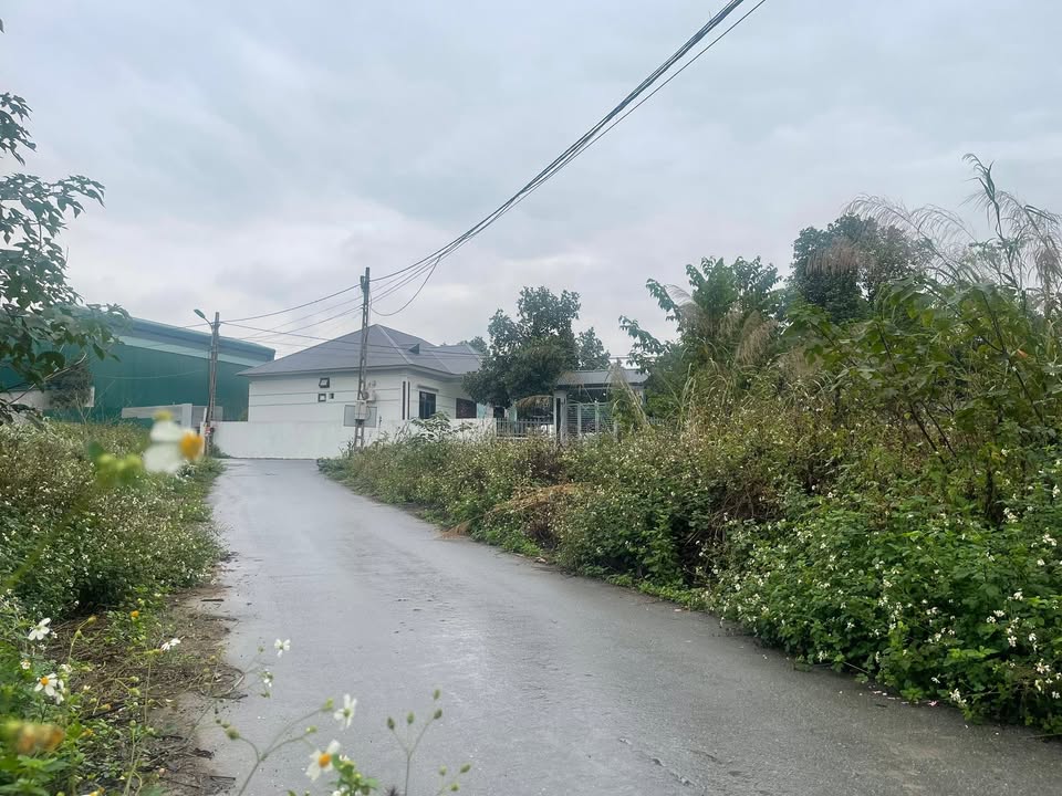 Đất nền Vĩnh Yên 89m² giá chỉ vài trăm triệu - Sổ hồng chính chủ!