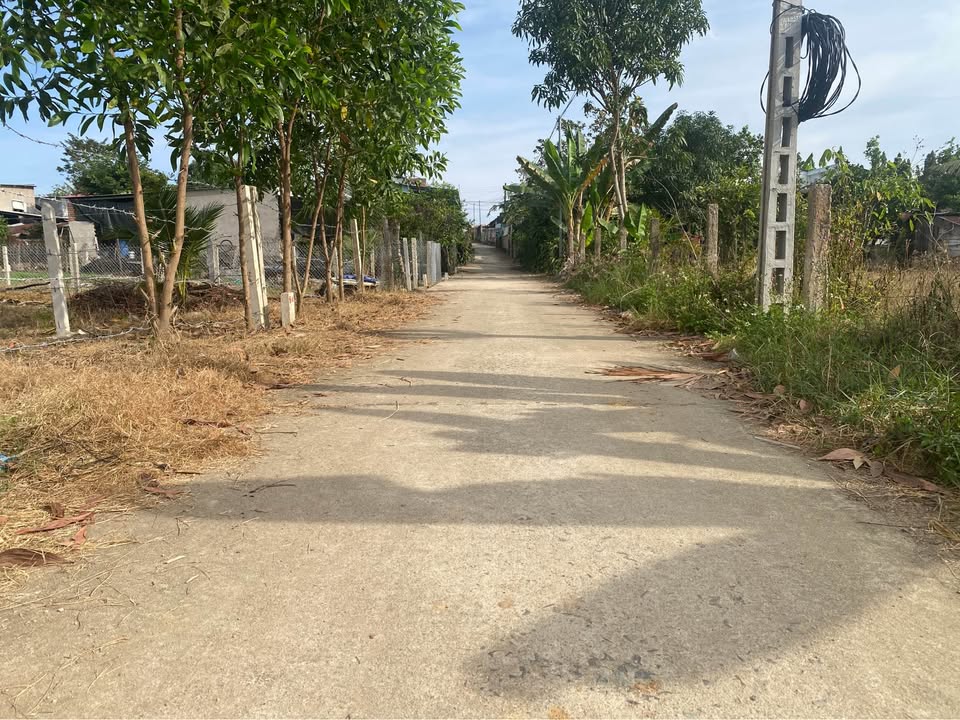 Đất Hàng Diên Khánh 170m² giá thỏa thuận - Vị trí đắc địa gần trung tâm!