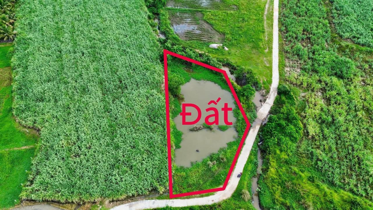 Đất nền Diên Tân, Huyện Diên Khánh 939m² - Mặt tiền đẹp, giá chỉ 1xx triệu!