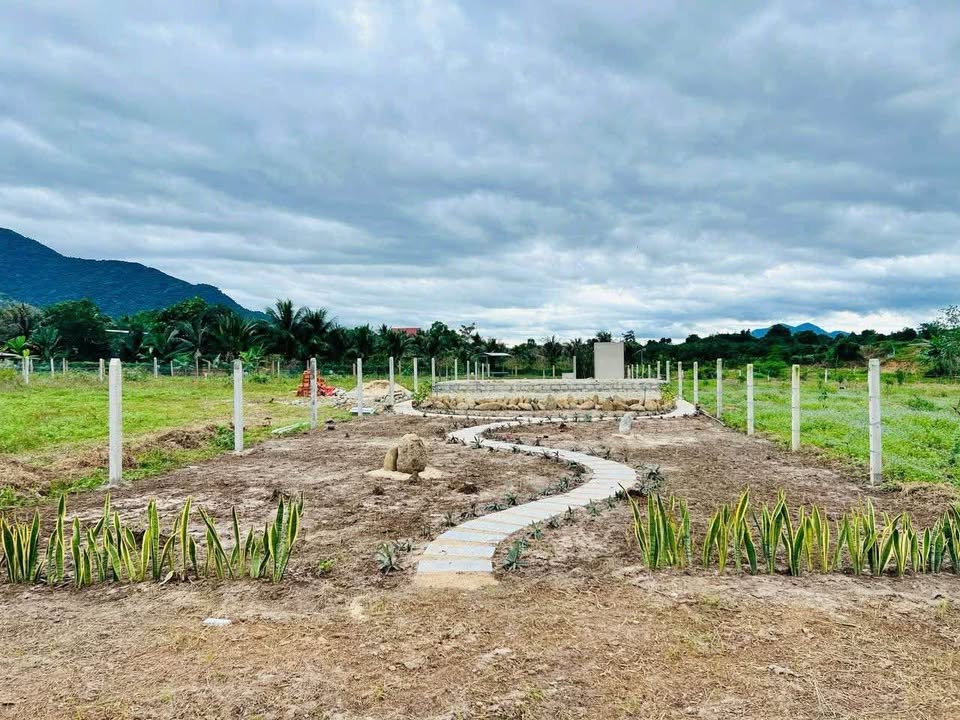 Đất nền 507m² Xuân Phú 1, Suối Tiên - Giá chỉ 650 triệu, sổ đỏ chính chủ!