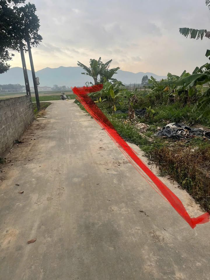 Đất thổ cư Thôn Vàng, Xã Khám Lạng, 100m² - Giá thỏa thuận hấp dẫn!