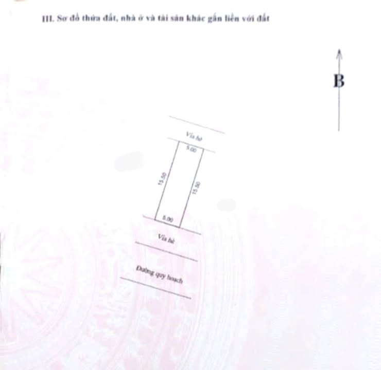 Đất nền Lương Sơn 77m² giá 3 tỷ - Mặt tiền 5m kinh doanh sầm uất!
