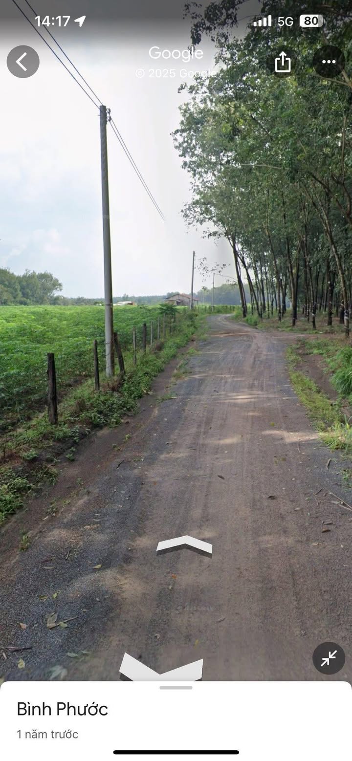 Đất nông nghiệp 32ha tại Phú Riềng - Giá chỉ 32 tỷ - Gần suối nguồn nước