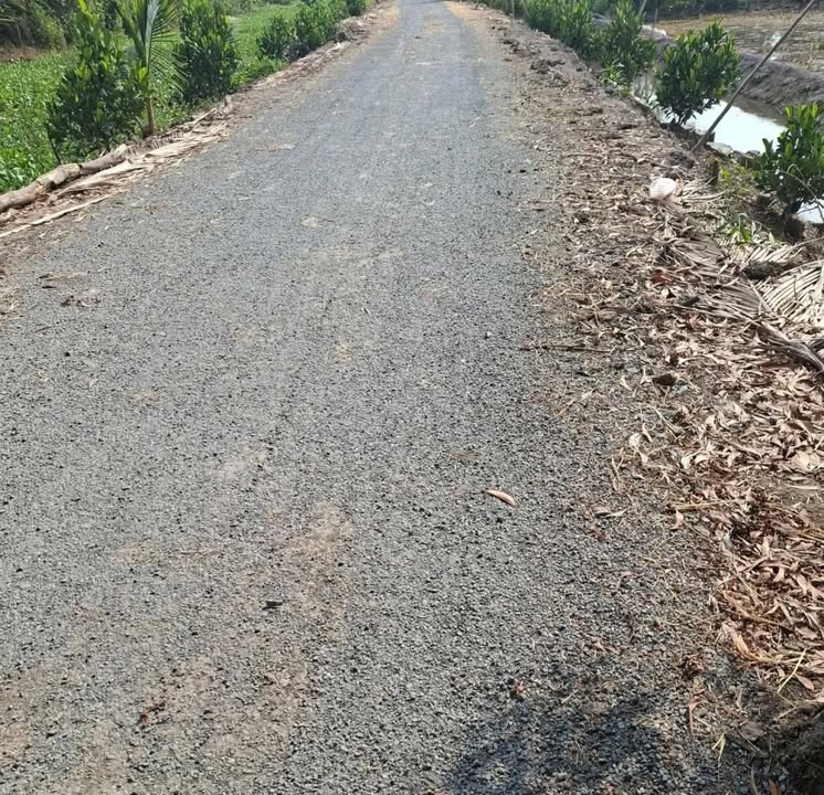 Farm cho thuê 70.000m² tại Xã Phú Quý, Giá 5.5 triệu/năm - Khu vực phát triển!